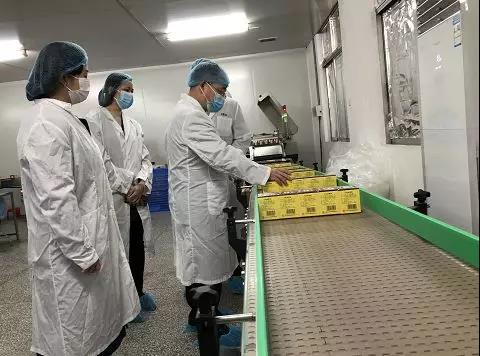 齐心抗疫，确保质量！永利yl23455公司振隆厂外车间接受广药集团生产监督保障小组工作督导