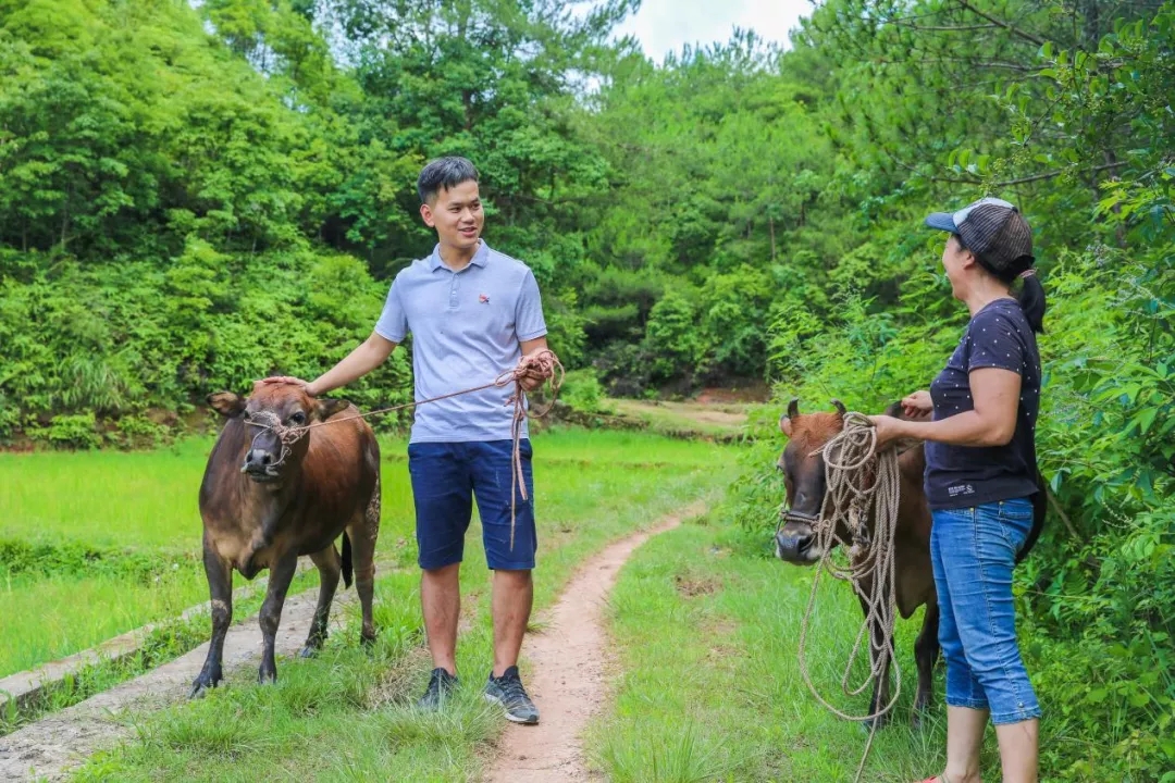 喜讯|白云山永利yl23455公司驻村干部巫小锦荣获广东省2019-2020年脱贫攻坚工作突出贡献个人通报表扬
