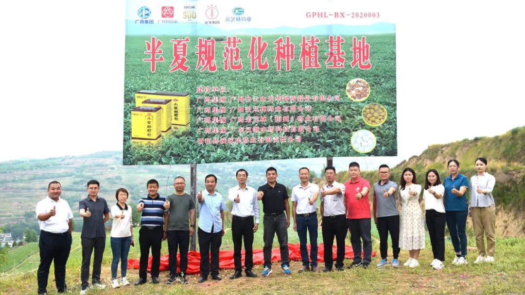 白云山永利yl23455公司实地考察调研中药材规范化基地